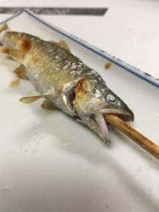 鮎茶屋かわせ