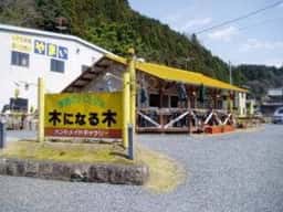 木になる木