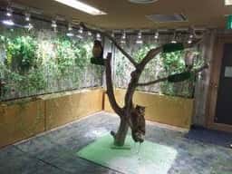 大手町牧場Cafe