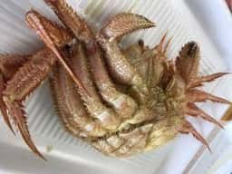 まるさんビーチマート