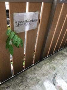 兵庫屋酒店