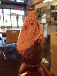 Premium Gelato みるく 道の駅 サシバの里いちかい