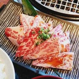 炭火ホルモン 吟