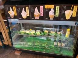 九州蜂の子本舗 福岡八女本店