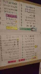 新和食屋もも