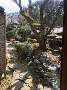 料亭龍泉荘