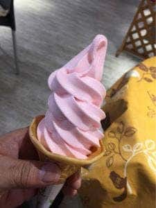 道の駅 西山公園