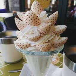 マウントフットフォレストカフェ