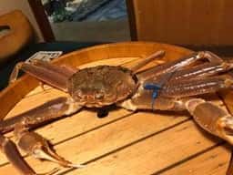 かに道楽の奥座敷 網元別館