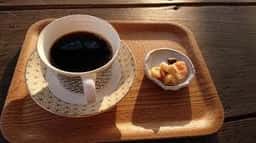 豆春