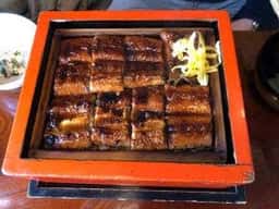 うなぎ 古蓮