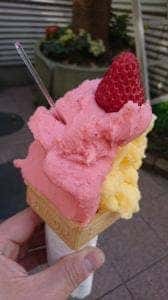 手づくりアイス イタリアンジェラート フレスカ