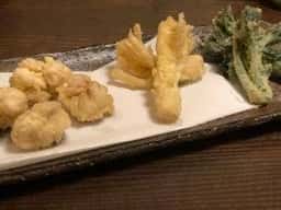 囲肴屋 樹