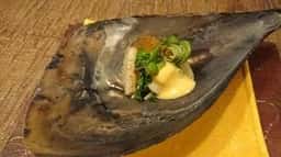 赤坂 紙音