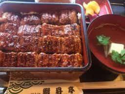 浜松 うなぎ処 鰻昇亭