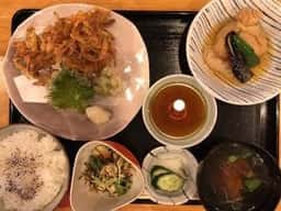 かめ福