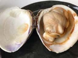 海鮮料理 日南水産