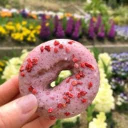 まえだのドーナツ