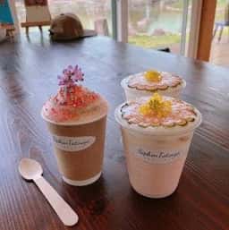 サイフォンタツヤ