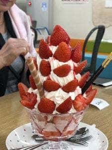 産直 来夢くん