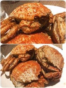 Asador ROCA
