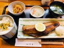 烹月