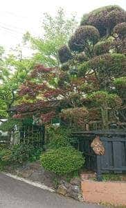 蕎麦富士