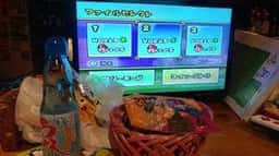 放課後駄菓子バーA-55 京都四条河原町店
