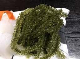 活魚処海人