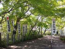 宗休庵