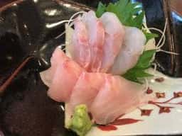 函館 開陽亭 どさんこ家