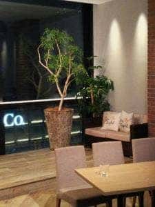 THE SKY 〜Resort Lounge〜