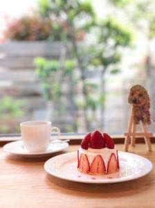 北鎌倉 欒カフェ