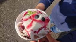 MANHATTAN ROLL ICE CREAM