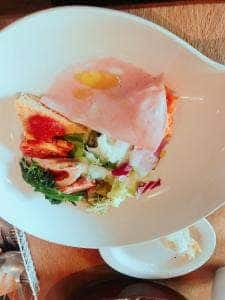 POLPO