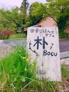 朴 boku
