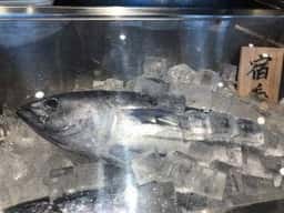 土佐の地魚 魚翔