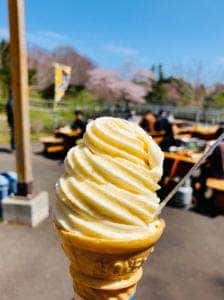 亀田記念公園 ジンギスカン コーナー