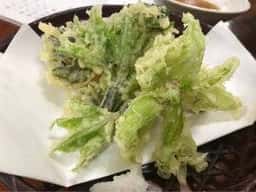 湯の華