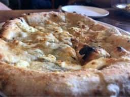 イタリアンダイニング CAFE bird