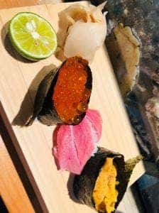 魚光