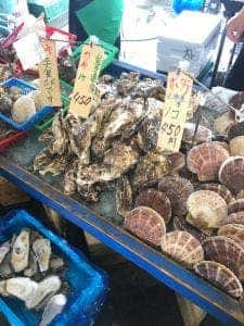 大原漁港 港の朝市