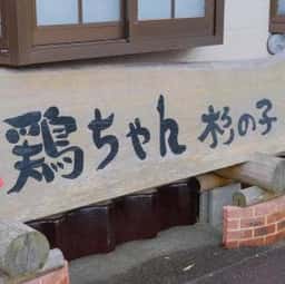 鶏ちゃん専門店杉の子