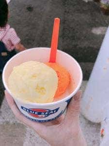 ブルーシールアイスクリーム 福生店BigDip店