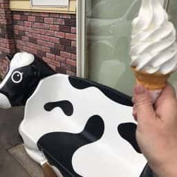 鈴木牧場 売店