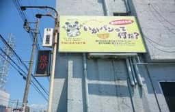 いかパンって何だ?