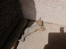 内田屋カフェ&ギャラリー