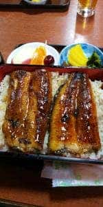宇佐見鰻店