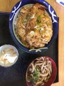 丸岡うどん
