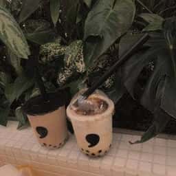 comma TOGO 静岡パルコ店